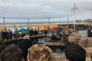 handen-uit-de-mouwen-tijdens-de-tweede-profource-in-actie-dag